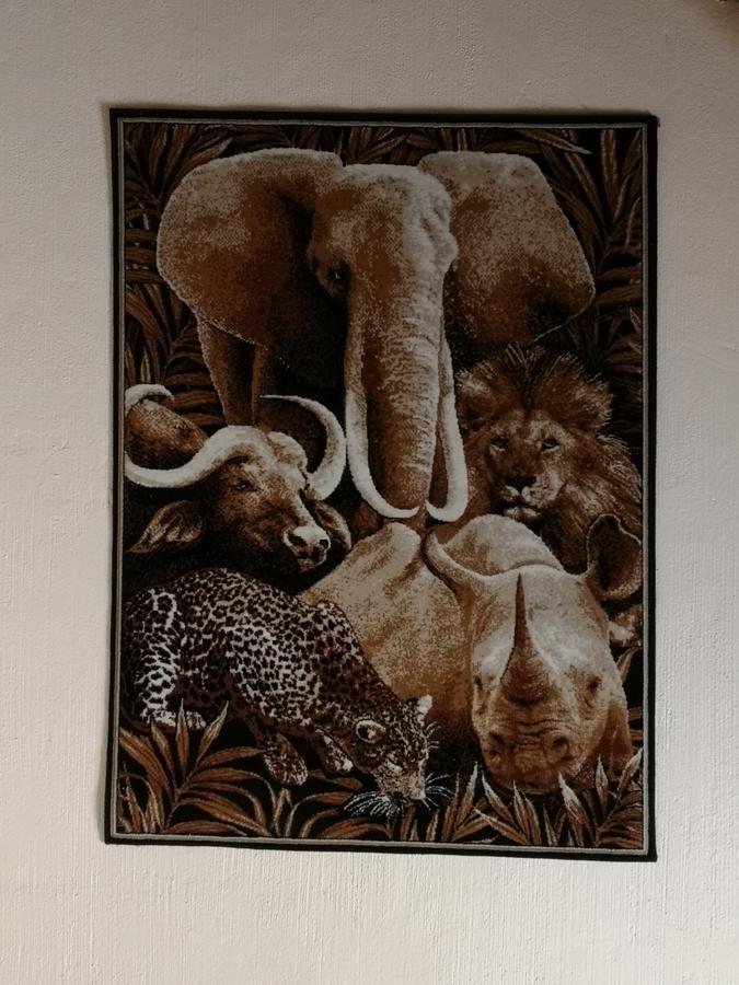 All Over Africa Guest House كمبتون بارك المظهر الخارجي الصورة